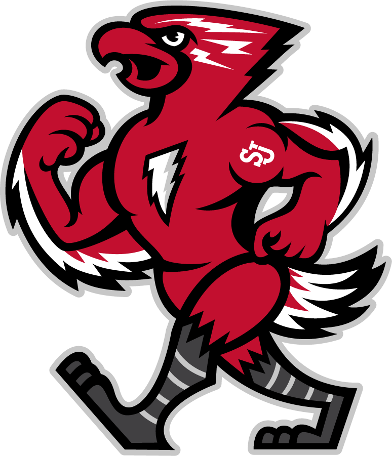 St. John's Red Storm 2013-2015 Mascot Logo t shirts iron on transfers